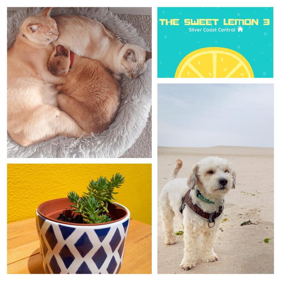 شقة The Sweet Lemon 3 بومبارال المظهر الخارجي الصورة